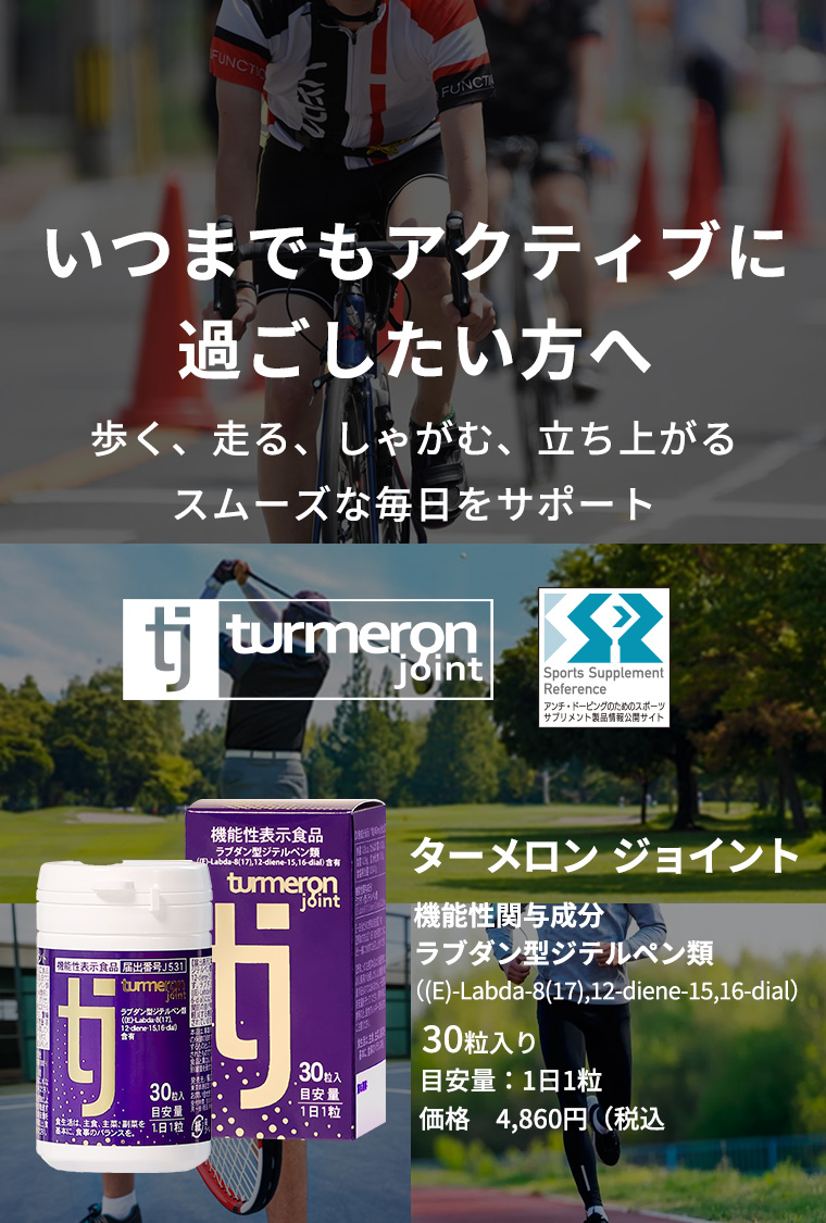 ターメロン ジョイント